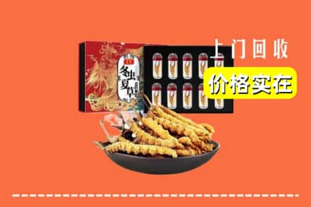 上海浦东新区回收冬虫夏草