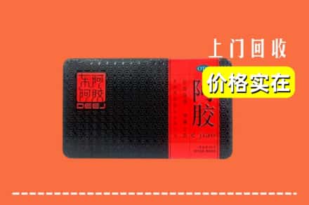 上海浦东新区回收阿胶