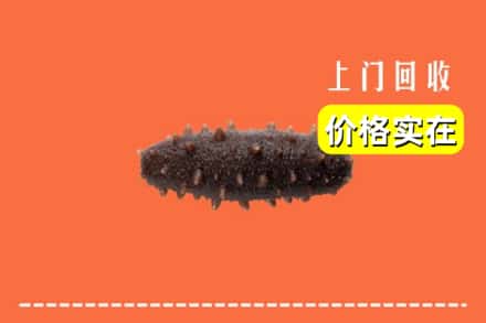 上海浦东新区回收海参